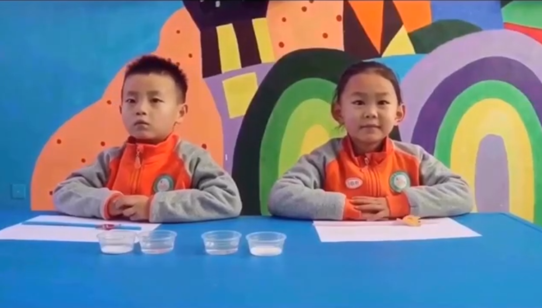 幼儿园大,中,小班科学课堂教学微课